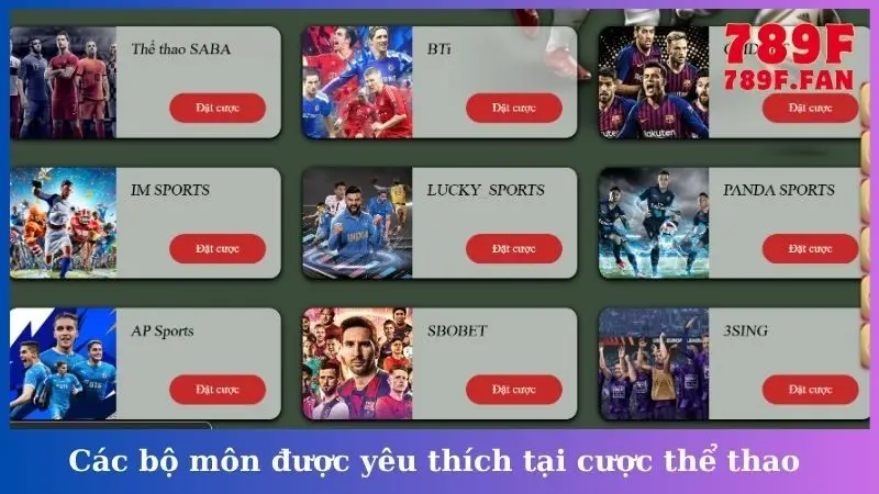 Các bộ môn được yêu thích tại cược thể thao 